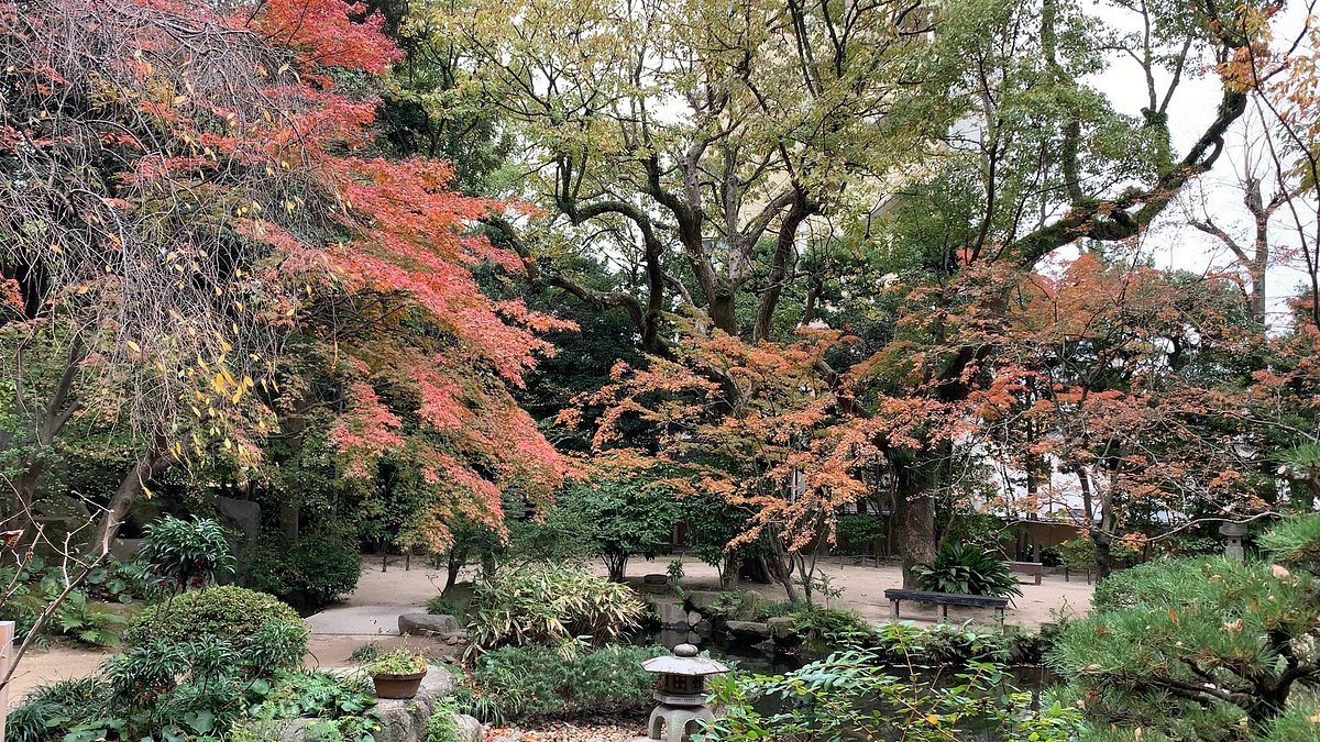 🌳 물을 즐기는 동산(라쿠스이엔) 이미지 6